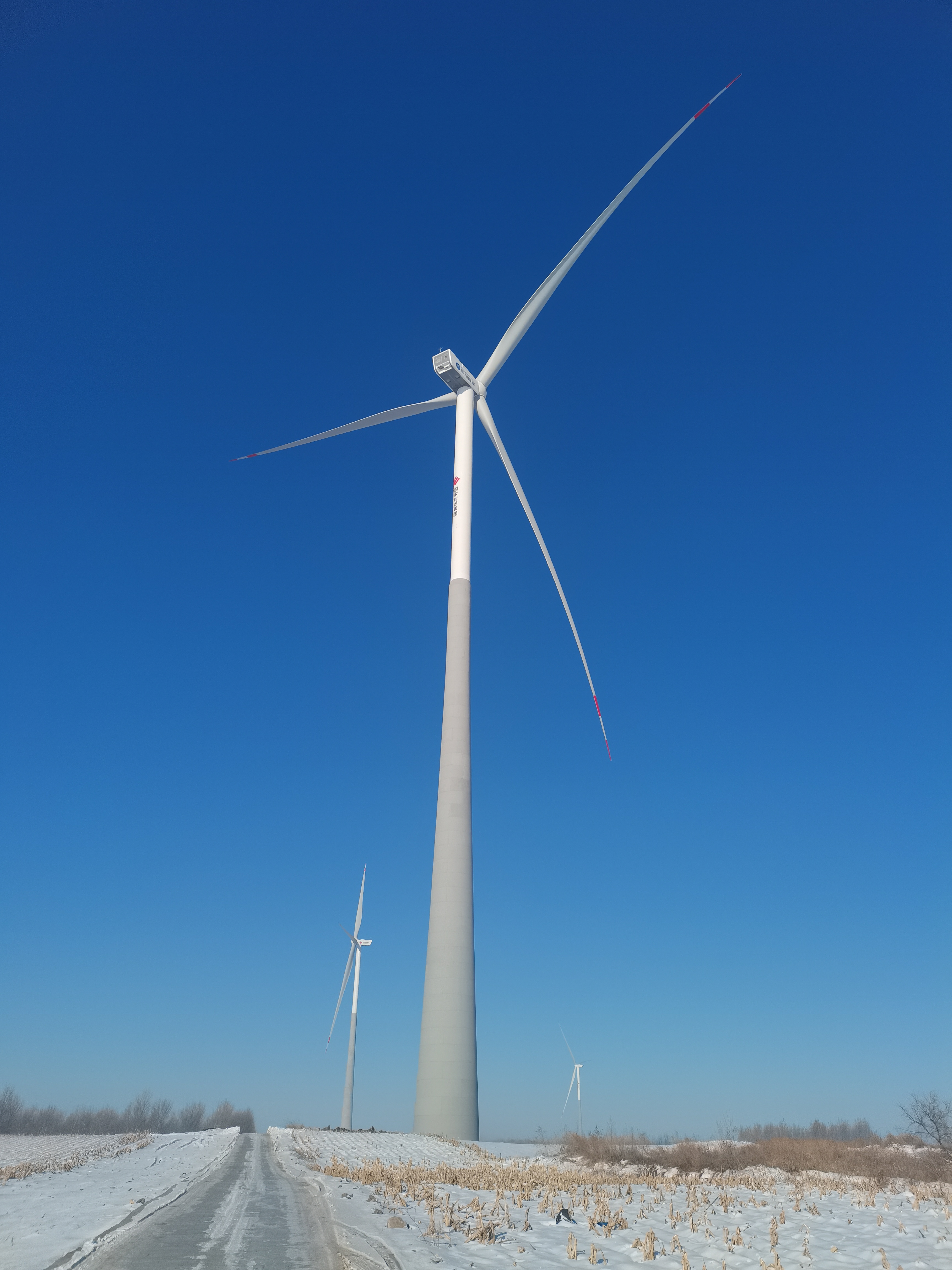 華電吉林遼源東遼鄉(xiāng)村振興項(xiàng)目